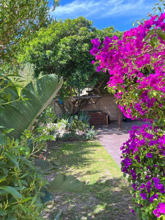 Sunset Beach Living Guesthouse Cape Town Bagian luar foto
