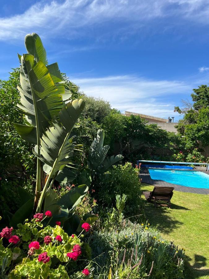 Sunset Beach Living Guesthouse Cape Town Bagian luar foto