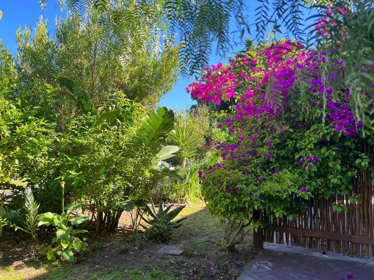 Sunset Beach Living Guesthouse Cape Town Bagian luar foto